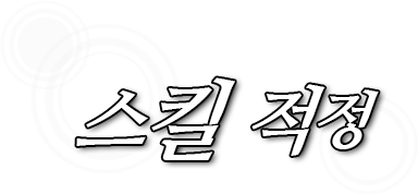 스킬 적정