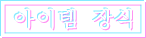 아이템 장식
