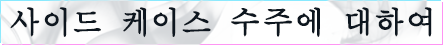 사이드 케이스 수주에 대하여