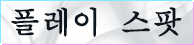 플레이 스팟