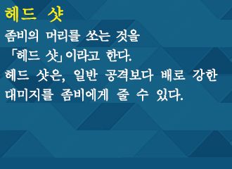 헤드 샷