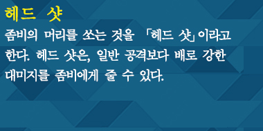 헤드 샷