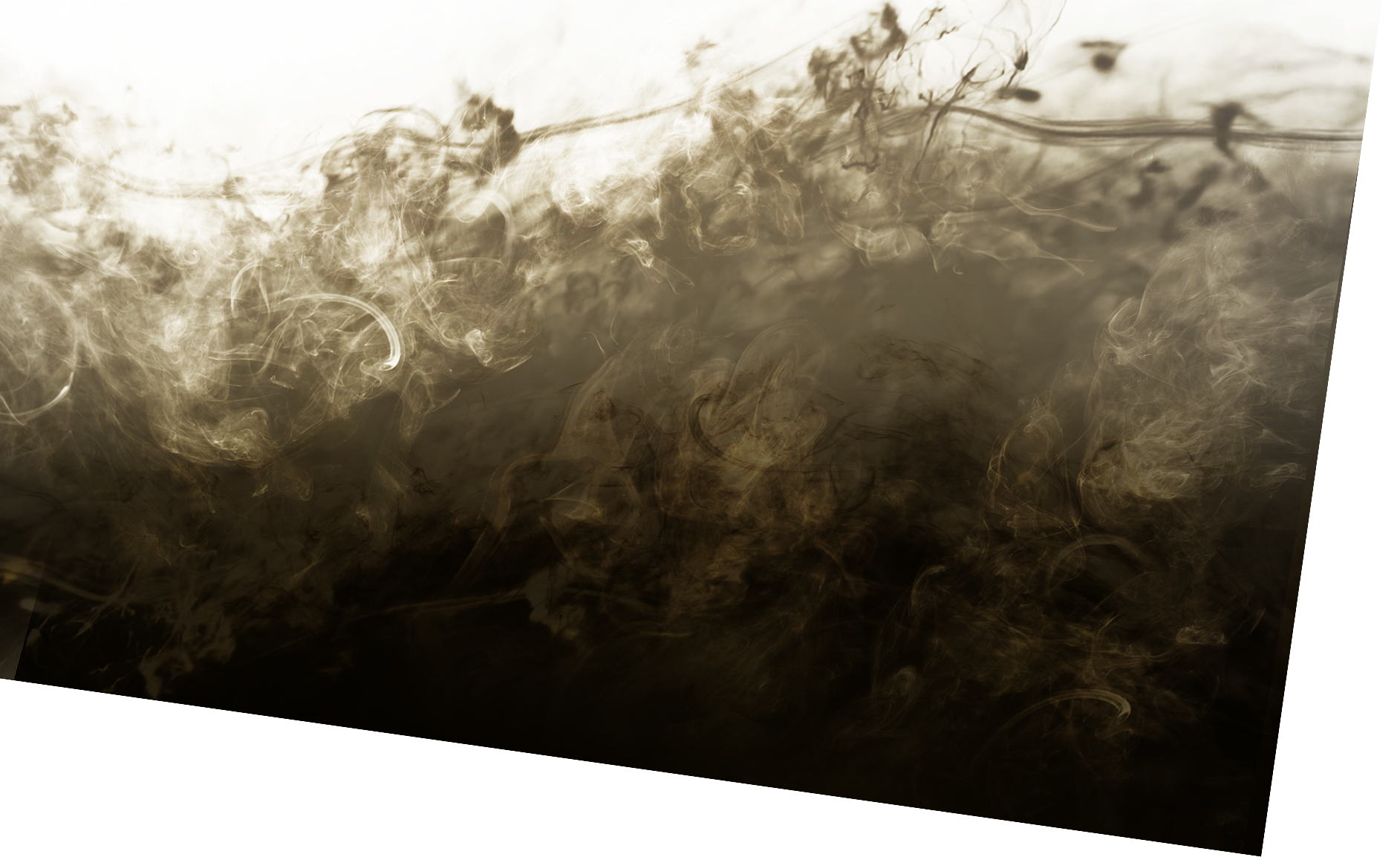 main visual bg