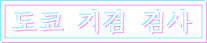 도쿄 지검 검사