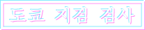 도쿄 지검 검사